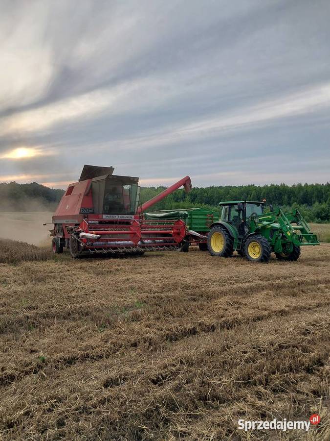 Massey ferguson 29 Korczowa sprzedam