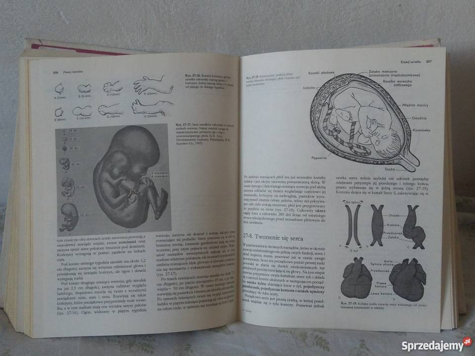 Biologia Villego Biologia Claude A Ville wyd 9 Książki naukowe i popularnonaukowe Warszawa