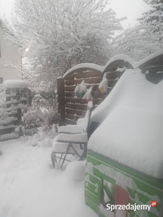 Bezczynszowe 3 pokoje z ogródkiem i z