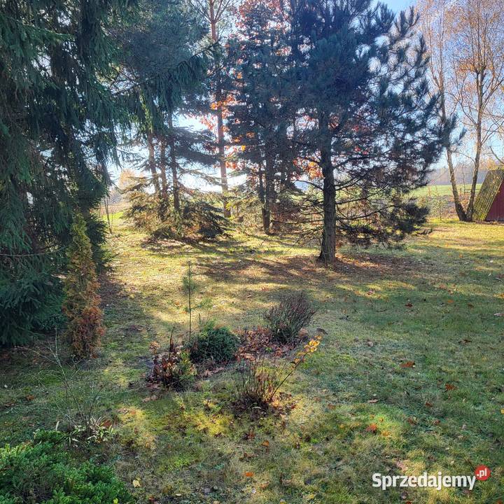 Działka letniskowo rekreacyjna Lublin