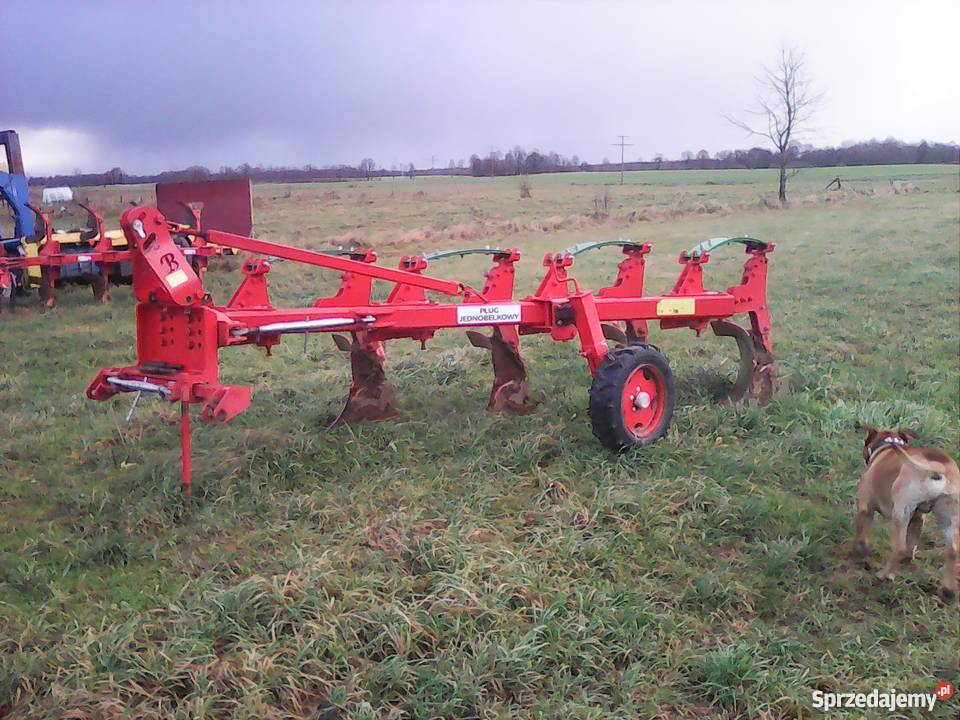 Pług jednobelkowy Krzewno
