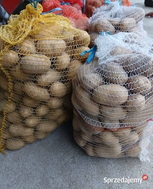 Ziemniaki Quinn Anna Szudziałowo sprzedam