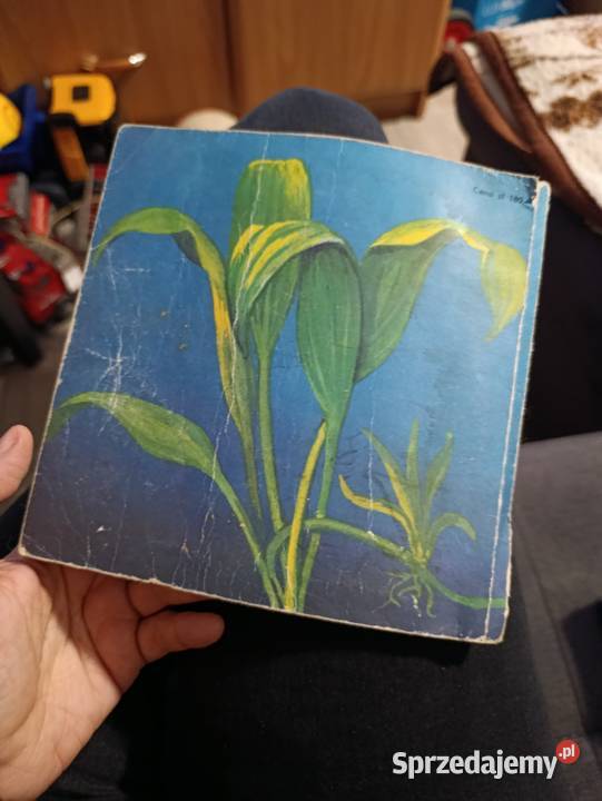 Akwarium i jego mieszkańcy autorstwa Mirosława Pozostałe