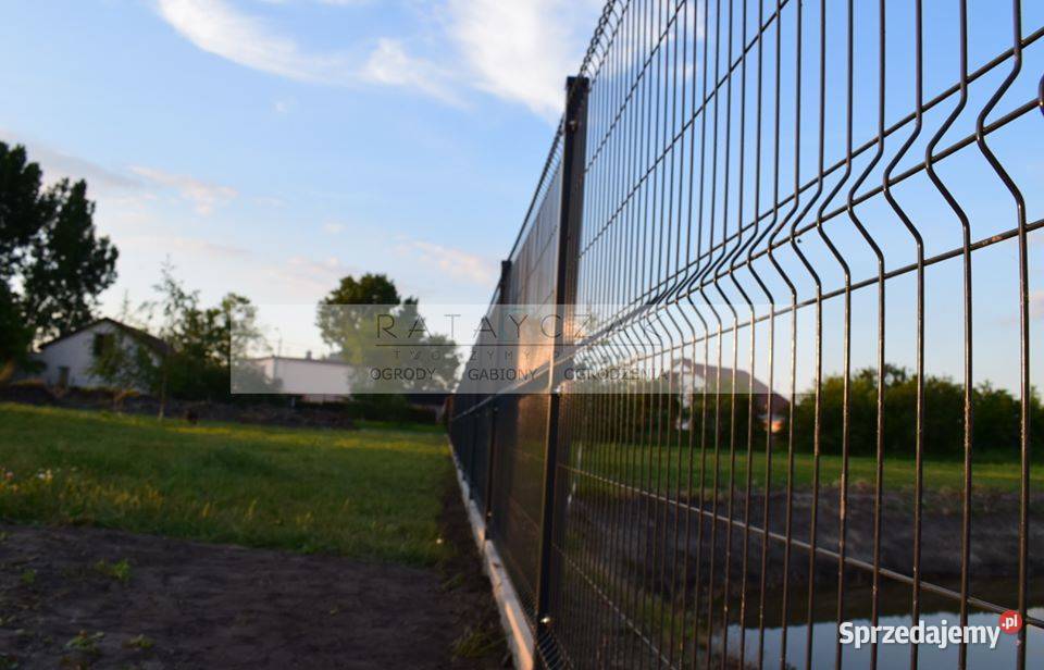 Brama dwuskrzydłowa rozwierana panel 3D fi4mm Ogrodzenia i bramy Toruń