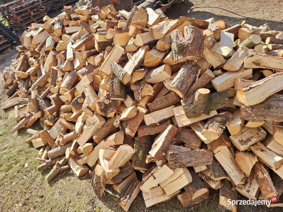 Drewno opałowe Sosna Nowodworce