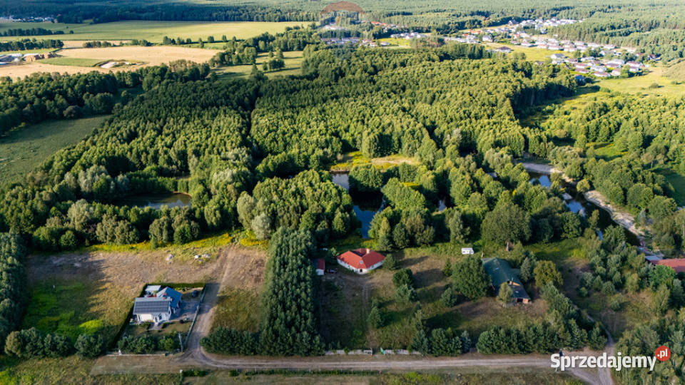 Dom z własnym stawem i wyspą pod Toruniem Obory taras