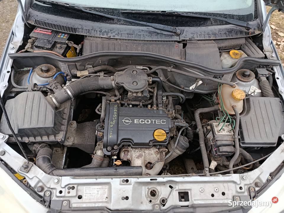 Opel Corsa C 10 43 kW 2002 r dawca części Szklarka Myślniewska