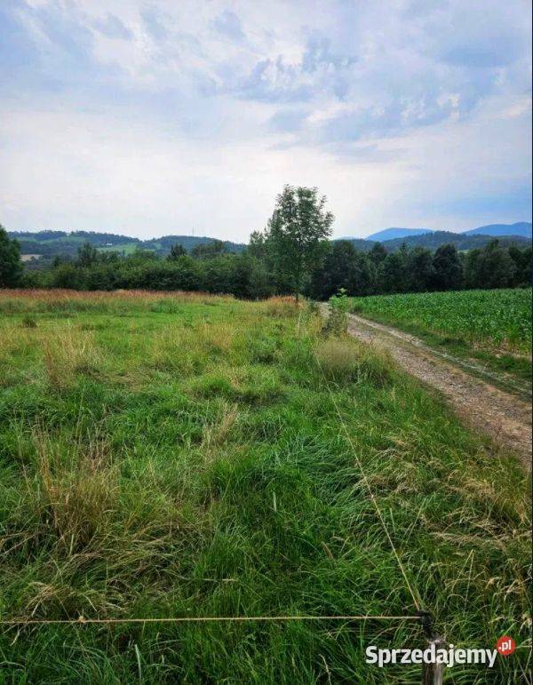 Działka granicy z Czechami RATY Cieszyn