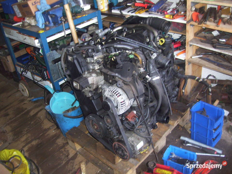 Koła 20555R16 Peugeot 307i inne części lubuskie Zielona Góra