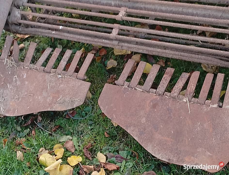 Kopaczka elewatorowe transport mi 2rzedowa Nowa wielkopolskie sprzedam