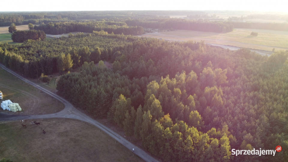 Dom na dużej działce w Świesielicach gm 180m2 Świesielice