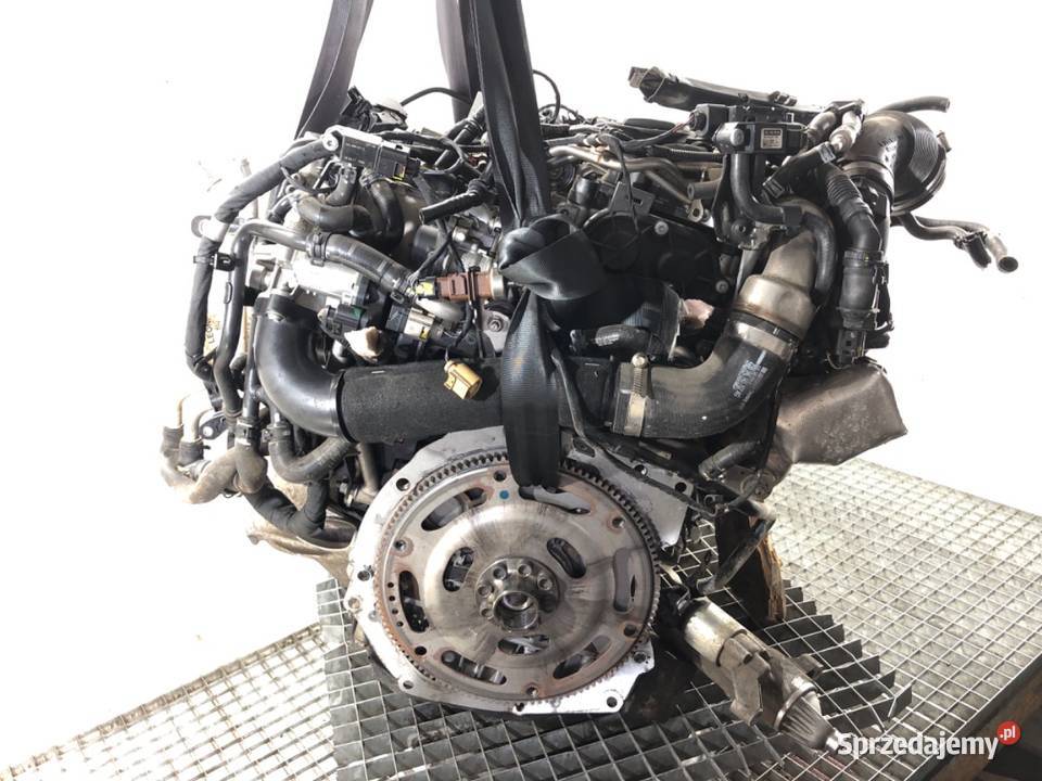 SILNIK KOMPLETNY AUDI 20 190 DET A5 F5 Silniki kompletne podkarpackie
