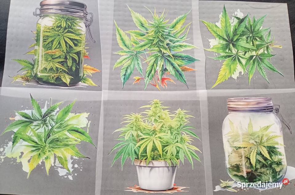 Tshirt koszula wzory cannabis marihuana konopie Wrocław