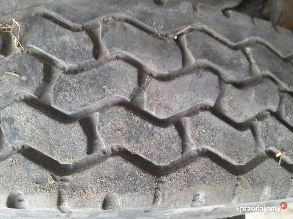 Opony kujawsko-pomorskie Lipno