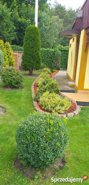 Ładna działka rekreacyjna Grunty i działki Włocławek