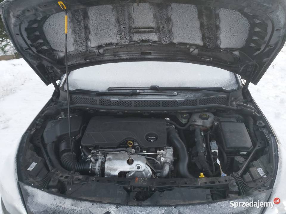 Opel Astra K 2019r Astra podkarpackie Lubaczów