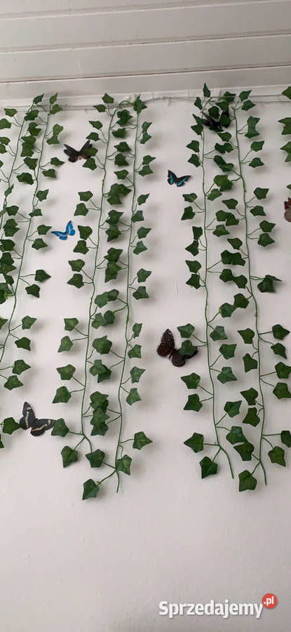Sztuczny bluszcz 50 m na ścianę balkon taras Sztuczne kwiaty i owoce wielkopolskie Śrem