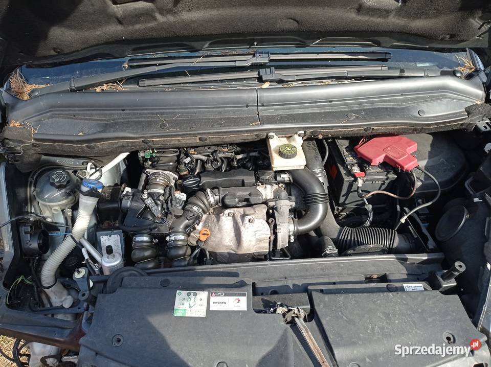 Citroen C4 Picasso 16 HDi 80 kW 2004 r dawca Szklarka Myślniewska
