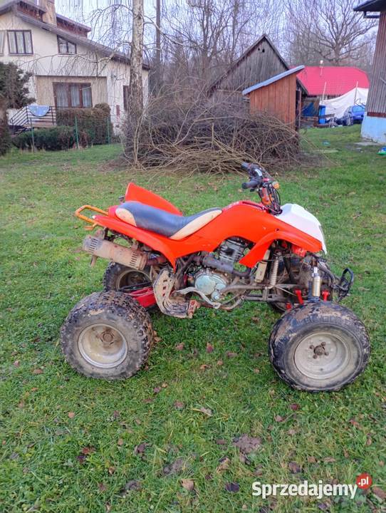 Quad nieuszkodzony Kopytowa