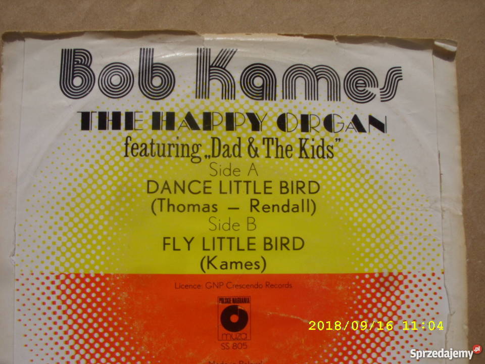 BOB KAMESDANCE LITLE BIRD Singiel winyl płyta winylowa Wołów