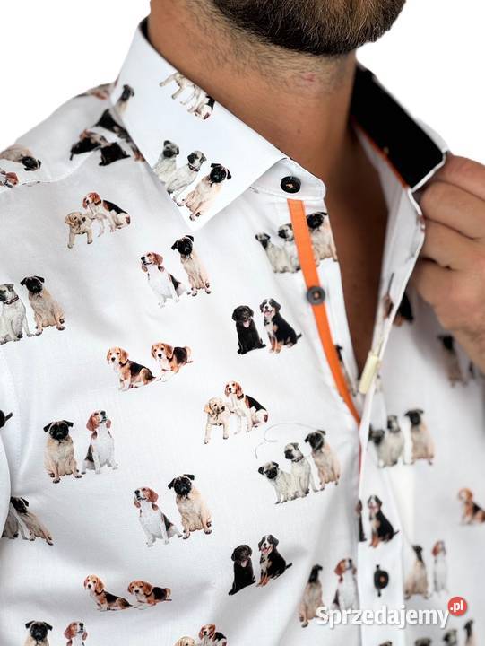 DANIEL BESSI Koszula męska fb128 biała pieski wielkopolskie Ostrów Wielkopolski