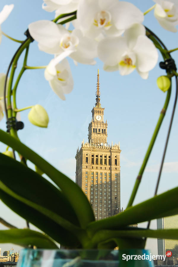 kawalerka studio in the city center GREAT VIEW Warszawa