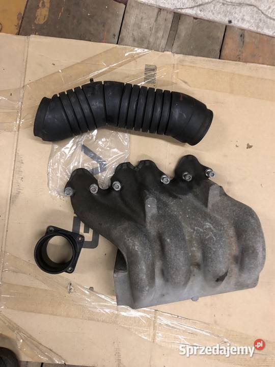 Kolektor dolotowy vw t4 19d świętokrzyskie