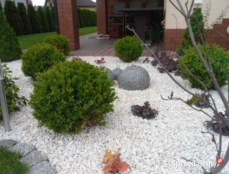 Grys Biała Marianna PREMIUM 1622 biały kamień sprzedam
