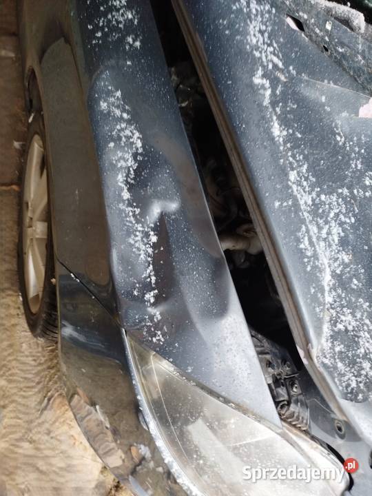 Seat Leon 2 16 mpi 2025 Rok produkcji 2005 Lublin