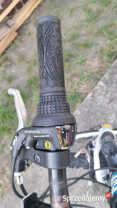 Rower Focus Rookie Raven MTB 24Revoshift ładny Chocianów