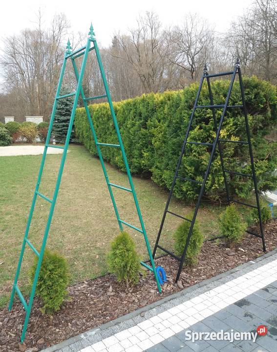 pergola ogrodowa drabinka na pnącza róże kwiaty Trzebunia
