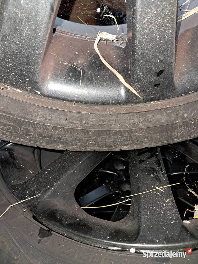 Opony z felgami 1755215 Rozogi