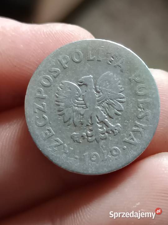 Sprzedam 50 gr 1949 r Chełm sprzedam