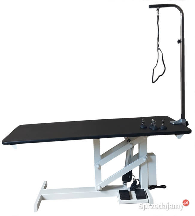 Elektryczny stół groomerski Częstochowa sprzedam