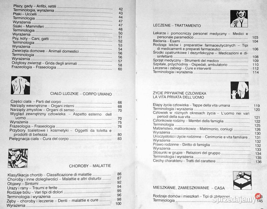 Polskowłoski słownik tematyczny Hanna Cieśla miękka Chełm