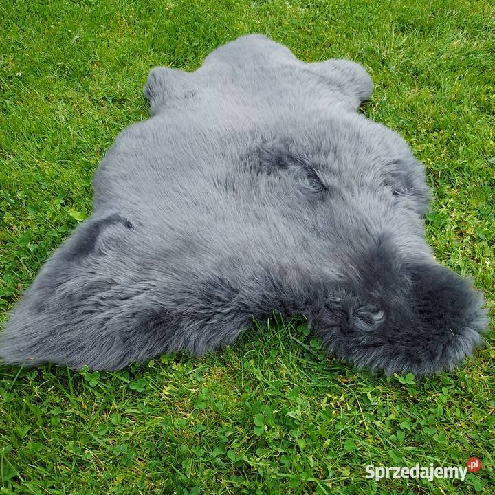 Skóry Owcze Dekoracyjne Grafit Naturalne Skóry