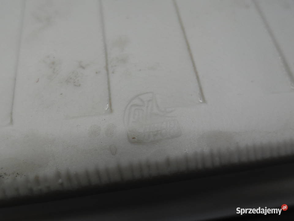 Paterapaterka Takakashi Japonia wielkopolskie Raszków