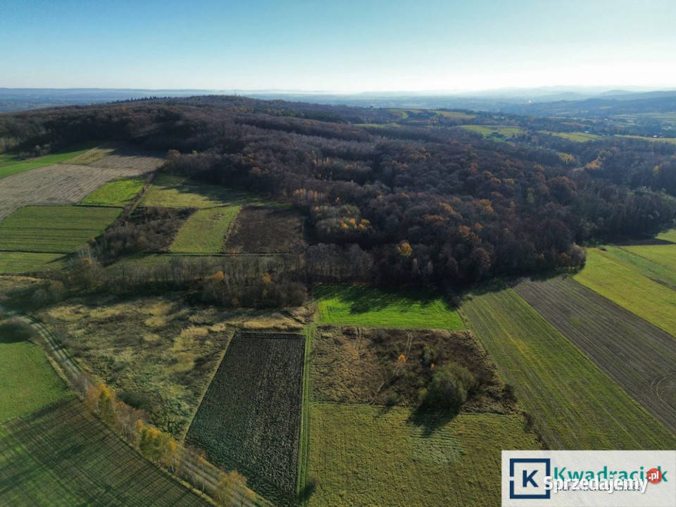 Ogłoszenie grunt Podniebyle 6100m2 Sprzedaż podkarpackie