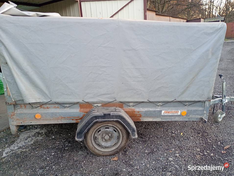 PRZYEPKA NEPTUN LEEKA Zabrze