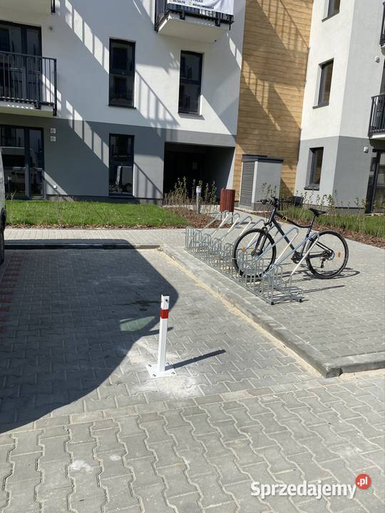 1 Października do wynajęcia Wynajem