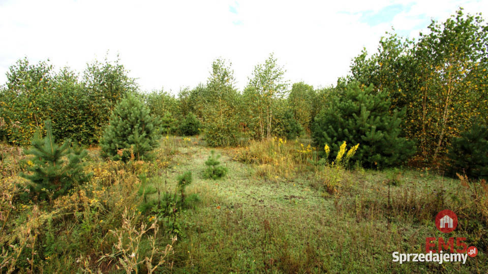 Działka 2806m2 Klimki sprzedam