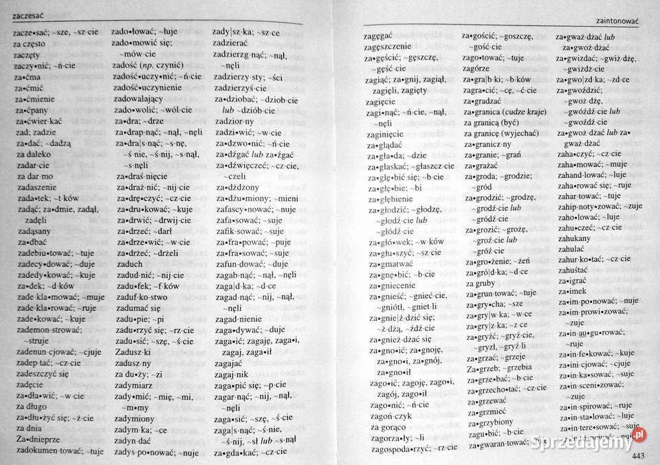 Podręczny słownik ortograficzny Zygmunt Saloni