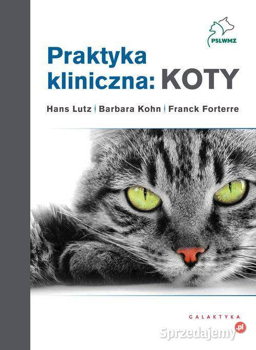 Lutz Praktyka kliniczna koty Nowa Twarda twarda łódzkie Ksawerów