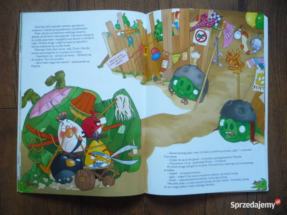 Wielkie zamieszanie Angry Birds Książka dzieci Bohaterowie telewizyjni Szczecin