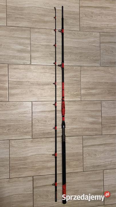 Wędka karpiowa DANGER