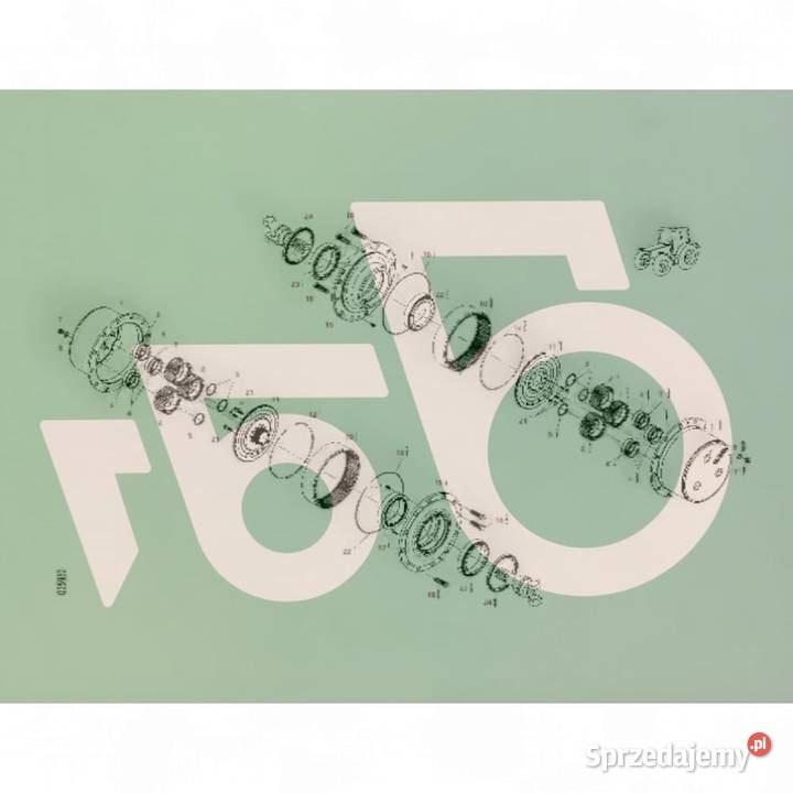 Zwolnica 9700601266 72454270 72454271 DANA wielkopolskie Wilkowo