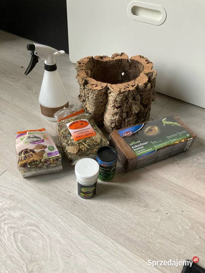 Żółw stepowy terrarium akcesoria Bydgoszcz sprzedam