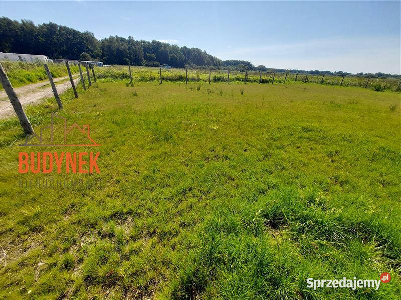 Działka rekreacyjna Dąbki Sprzedaż