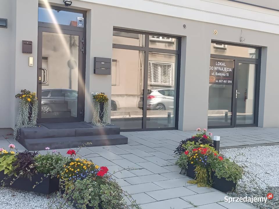 Żory Śródmieście nowy lokal usługowy do od ulicy Wynajem sprzedam