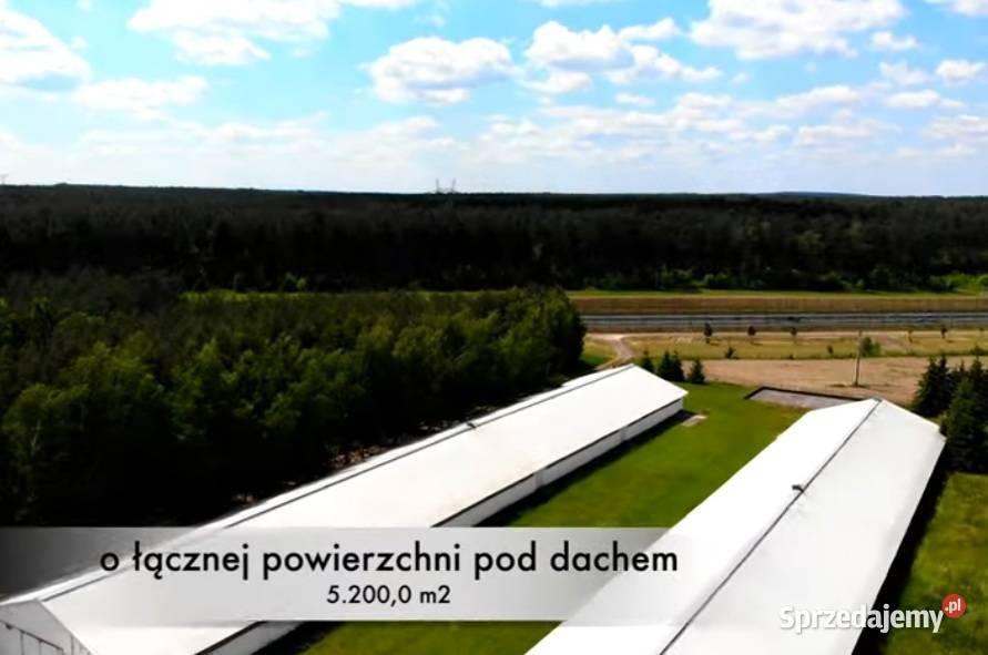 Sprzedam 4 hale 5200m2 S3 Skwierzyna sprzedam